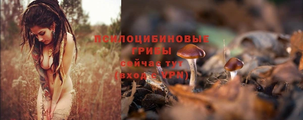 винт Богородицк