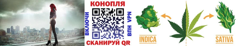 МАРИХУАНА сатива Наволоки